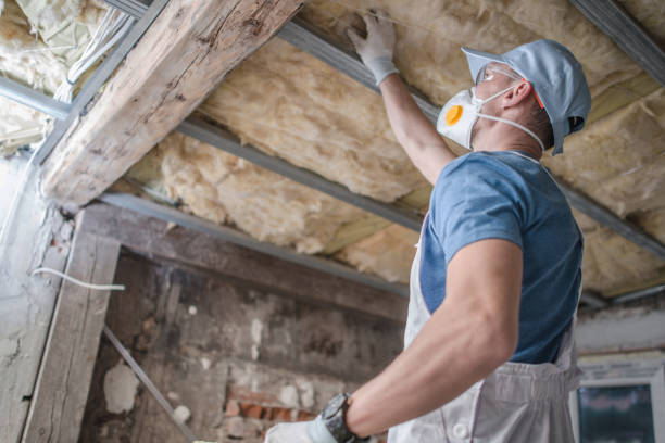 Best Insulation Installation Services in Sunnyside, GA