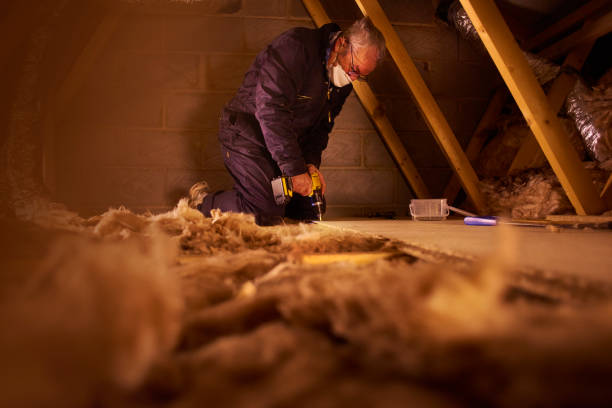 Best Insulation for Specific Applications in Sunnyside, GA